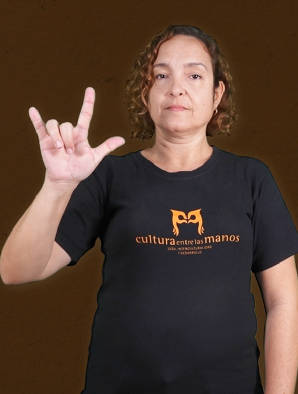 Colección Bases de la LSC en la aplicación Entre Señas